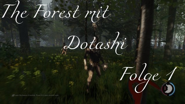 Zusammen im Wald | Let's Play Together - The Forest mit Dotashi! #1